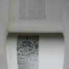 IMG 7600