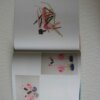 IMG 0662