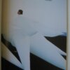 IMG 2584