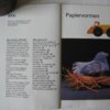 IMG 4175 1