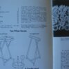IMG 4858 1