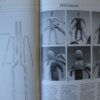 IMG 5848