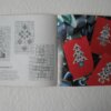 IMG 6955 1