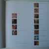 IMG 7126