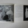 IMG 7700