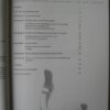 IMG 7864