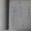 IMG 9879