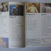 IMG 0079 1