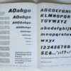 IMG 5876