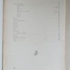 IMG 6385