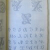 IMG 7579